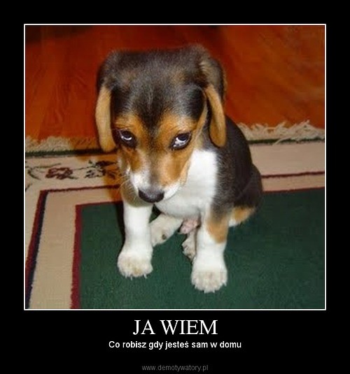 Wpis joass12
