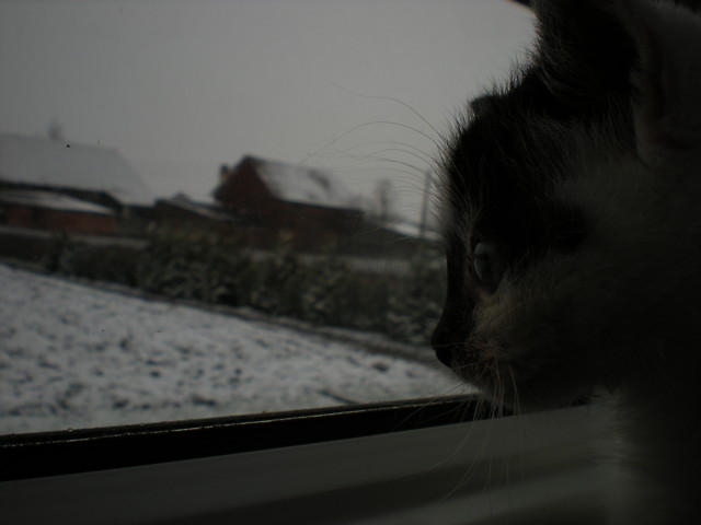 nieg?!. o.O