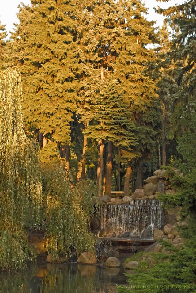 Park Skaryszewski II