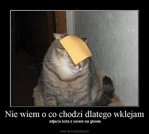 Wpis odrobiszwpolu