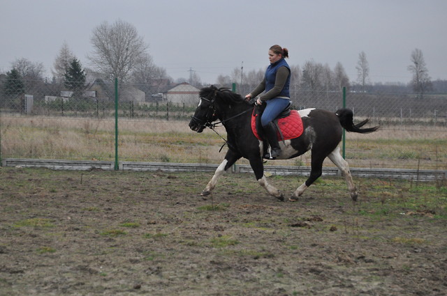 Pony Power ! !
