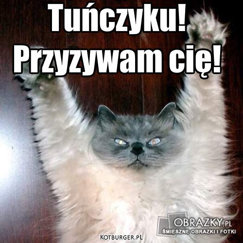 Wamikk;)