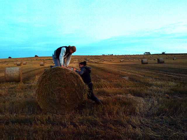 berry pickers