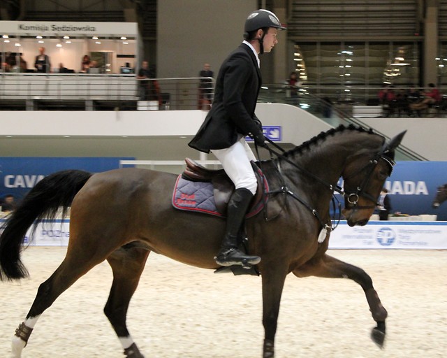 Cavaliada