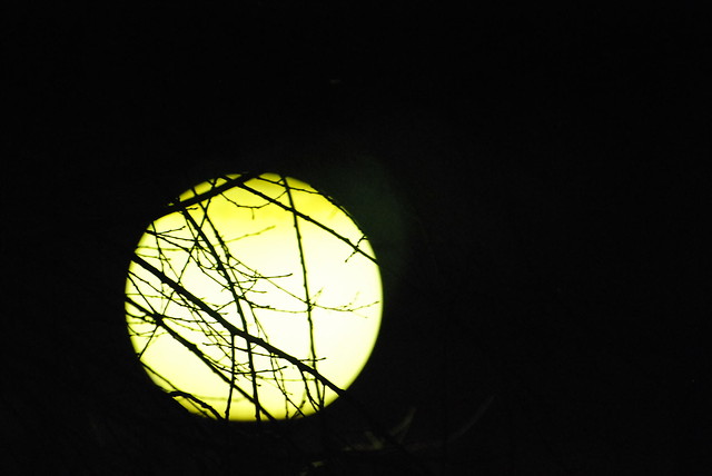 night 