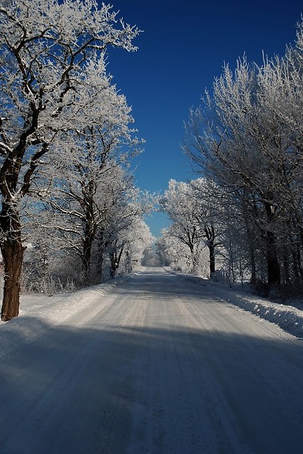 winter winds