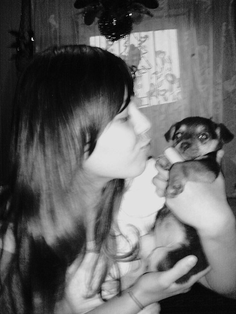 Wpis loolla