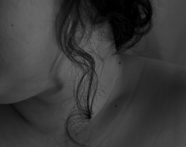 Wpis zubra