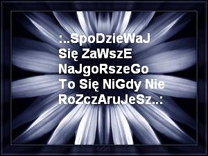 Zawsze