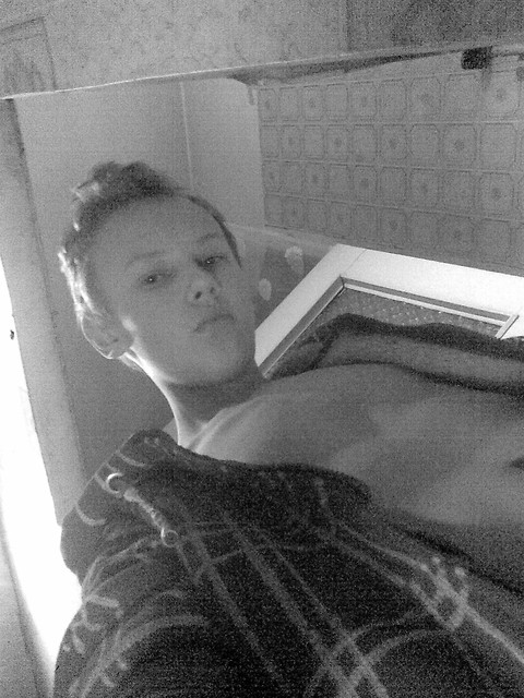 Wpis kamillew
