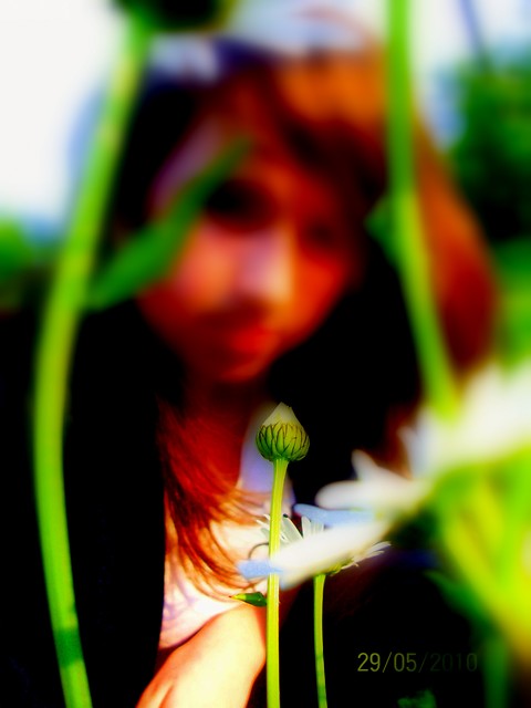Wpis teenageedreaam