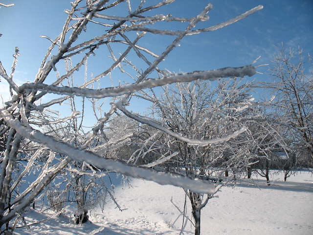 Zima 2009