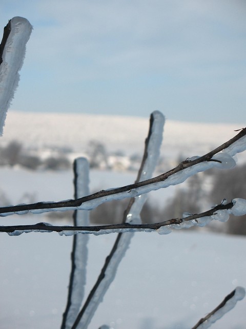 Zima 2009