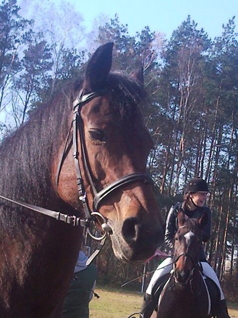 Wpis izusia96