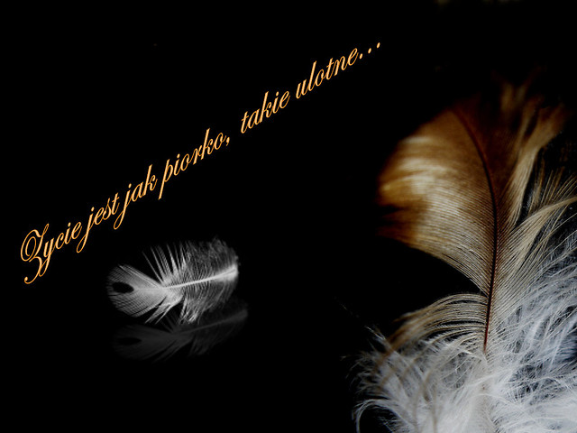 Wpis sweetdreams33
