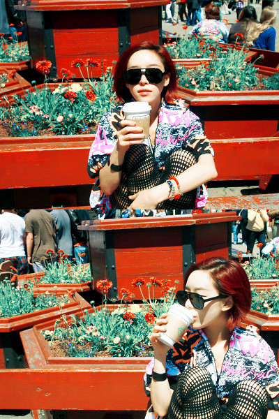 Wpis hongki