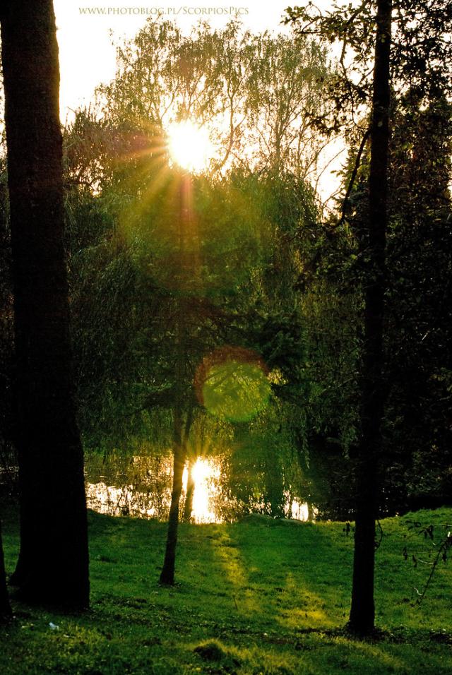 Park Skaryszewski III