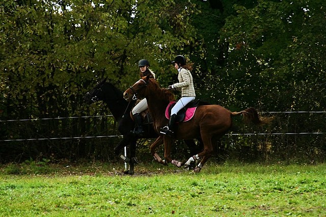 Hubertusowo ; )) 
