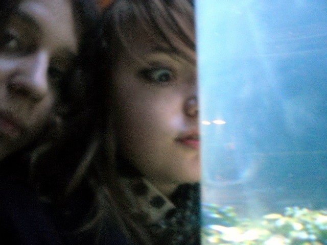 meduzowe xD
