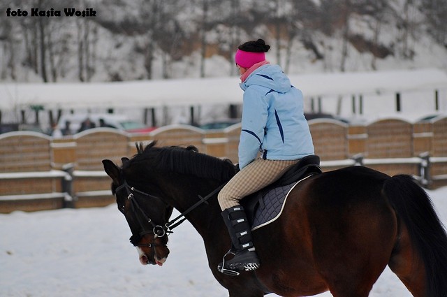 foto    myhorsesdreams