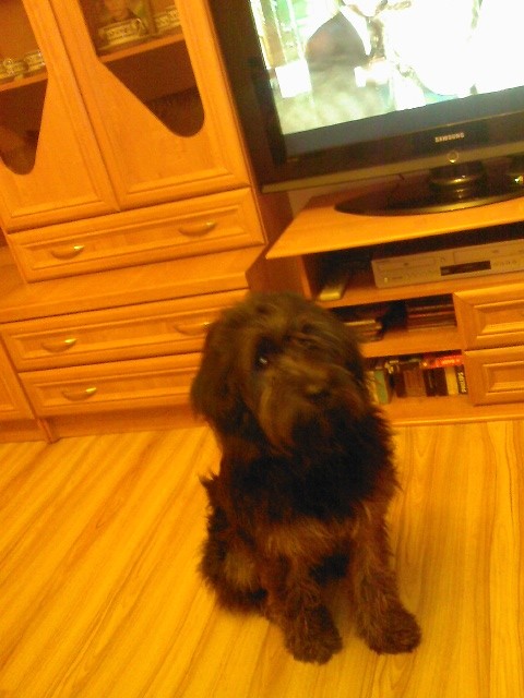 KILER