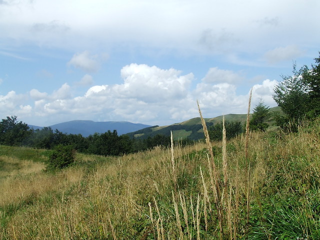 Bieszczady 2010.