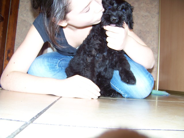 Wpis ewkaaaxdd