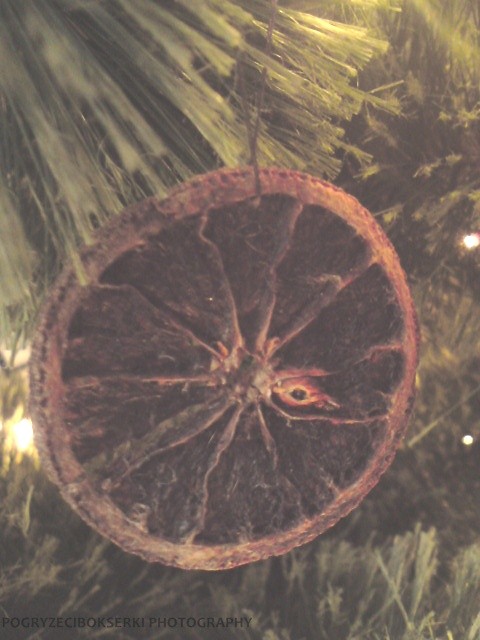 it's christmas time, honey!