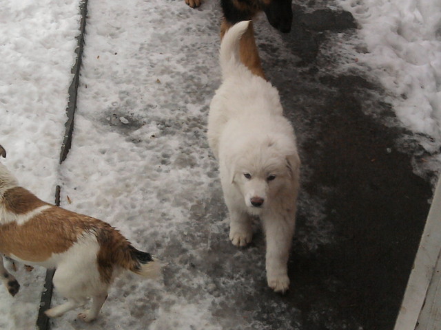Bruno ;*