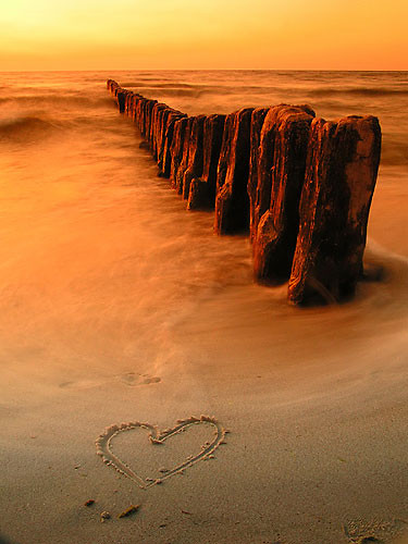 You Are Everything To Me.! 
