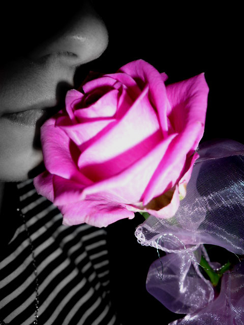rose.