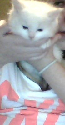Teodor.