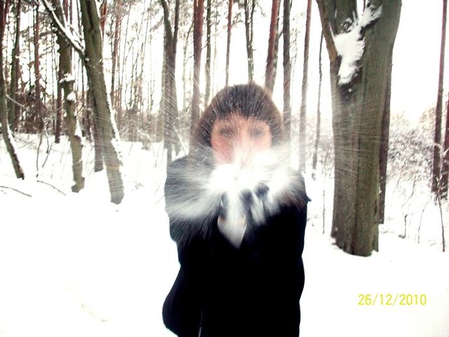  wszystko stracone .