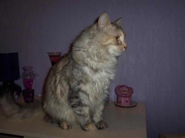 Carmenka... ;)