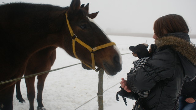 Nurka ; )