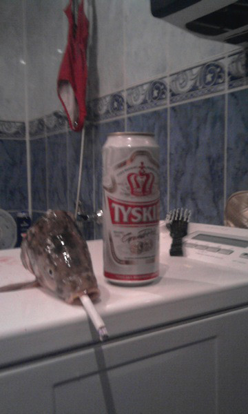 wita...