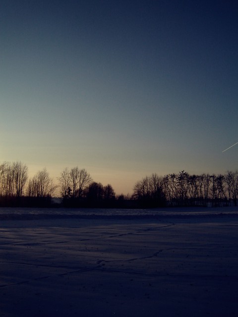 Wpis lutfinia