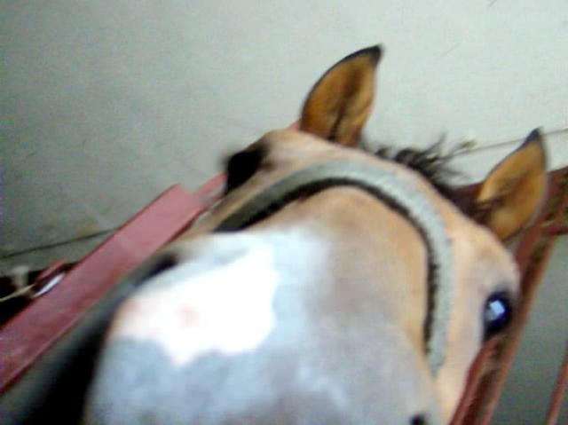 Endooooos :)