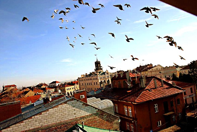 Rozwazna i romantyczna