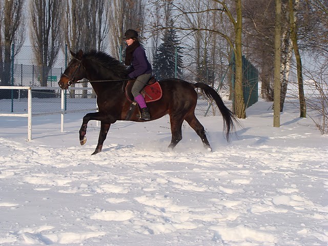 Zima2010