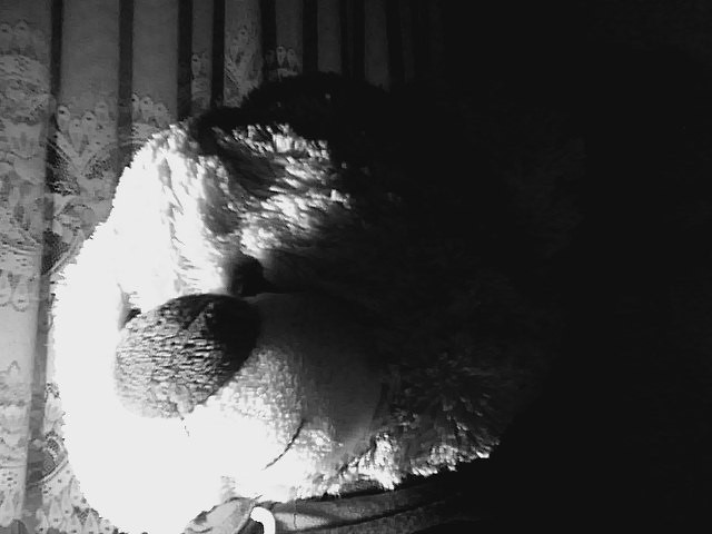 MISIO