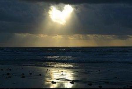 Venereum...