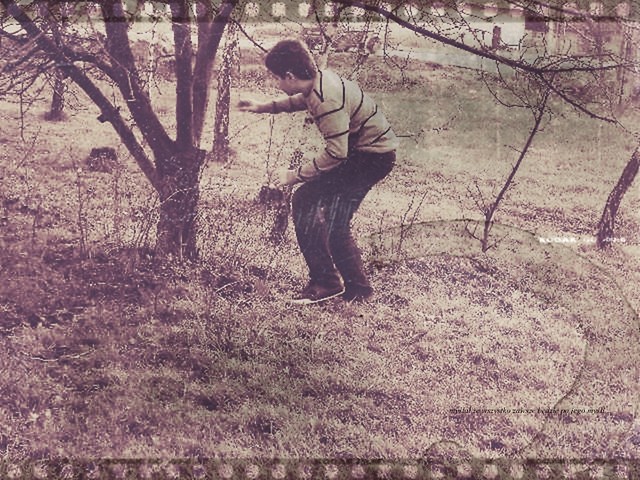 memories cz.1  ; *
