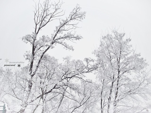 winter'10
