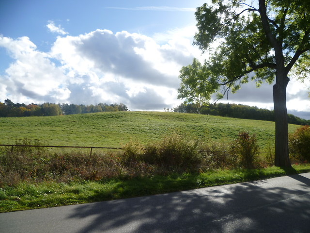 Wpis goskens