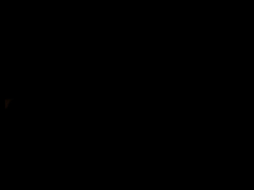 Wpis rustatorium
