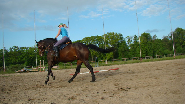 :) Kryka
