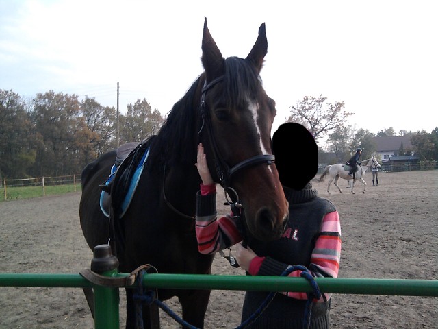 Wpis tobiano