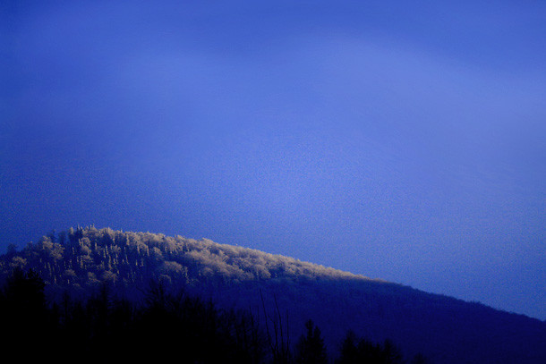 Zima