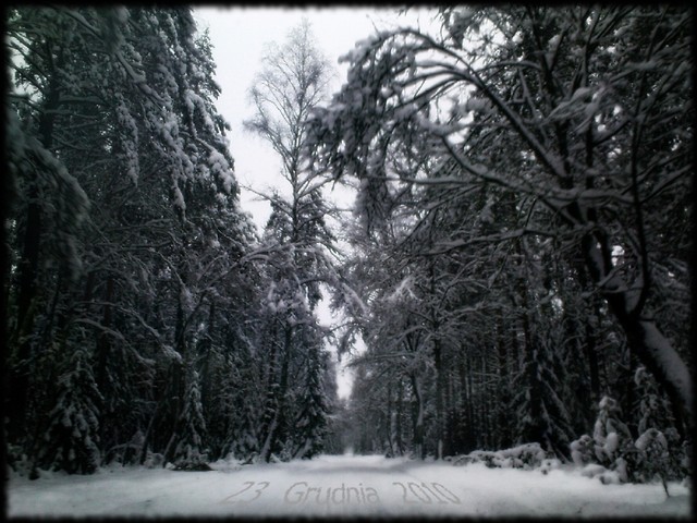 Snow Path